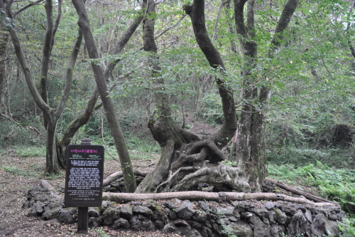 济州寺水自然休养林(제주절물자연휴양림) 