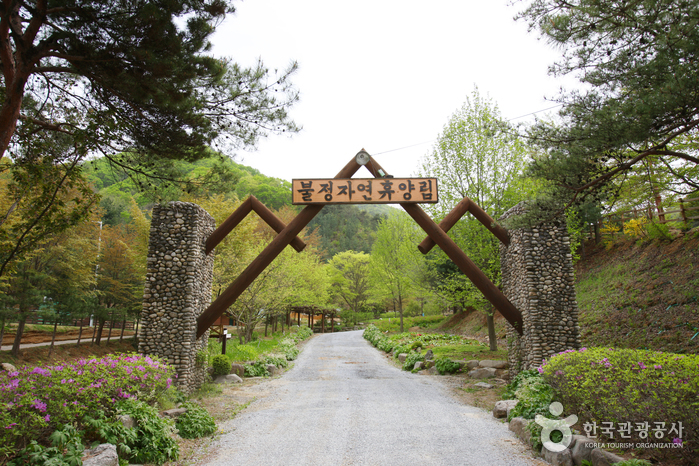 Buljeong Recreational Forest (불정자연휴양림)