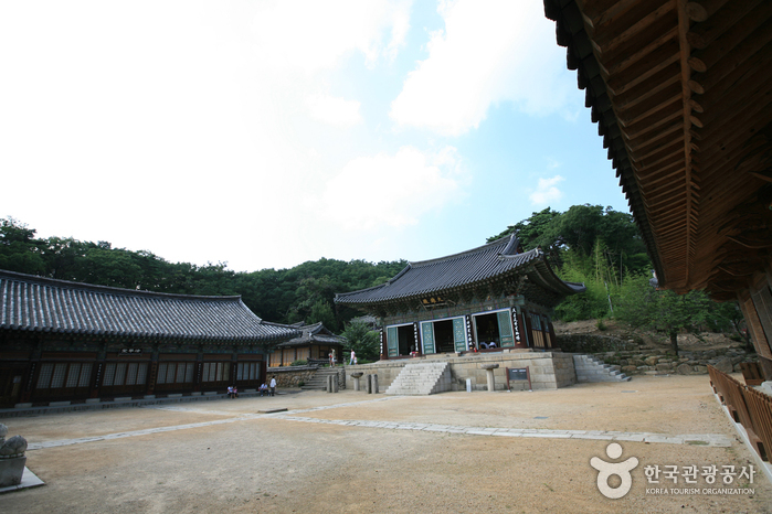 Donghwasa Temple (Daegu) (동화사(대구))