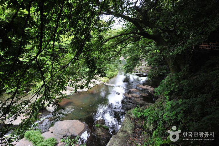 Andeokgyegok Valley (안덕계곡)