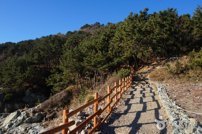 Igidae Park [National Geopark] (이기대 (부산 국가지질공원))
