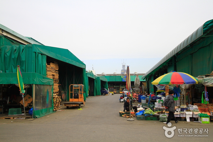 Garak Market (가락시장 (가락농수산물 도매시장))