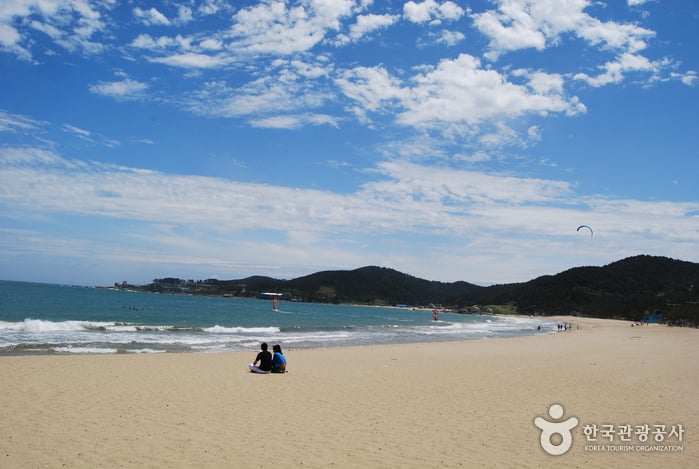 Jinha Beach (진하해수욕장)