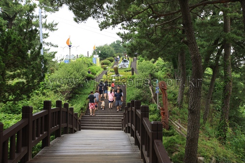 韩国旅游发展局 - 购物区搜索三陟海神堂公园 br>1340 6721