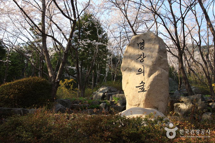 Skulpturenpark Jangboksan (장복산조각공원)