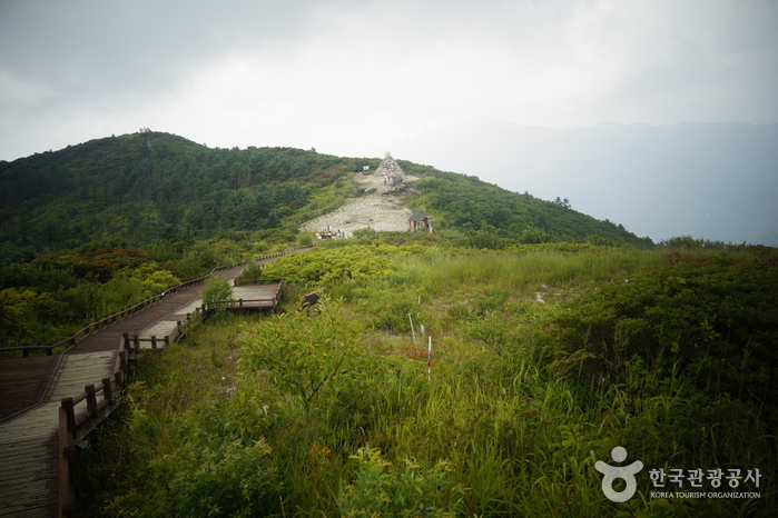 Jirisan National Park (Nogodan Peak Section) (지리산국립공원 (지리산 노고단))