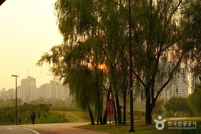 Yanghwa Hangang Park (한강시민공원 양화지구(양화한강공원))