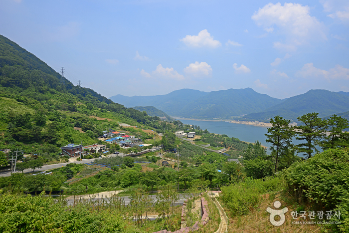 Gyemyeongsan Recreational Forest (계명산자연휴양림)