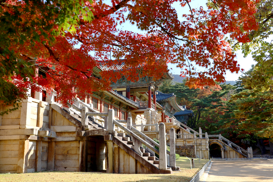 Gyeongju Bulguksa Temple [UNESCO World Heritage] (경주 불국사 [유네스코 세계문화유산])