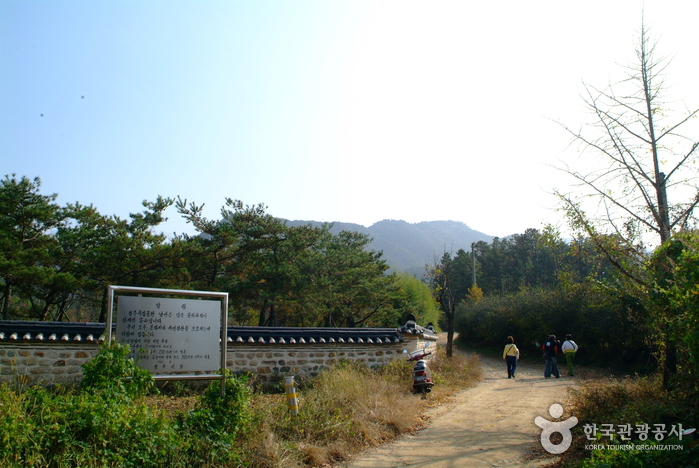 Gyeongju Bae-dong Samneung Royal Tombs (경주 배동 삼릉)