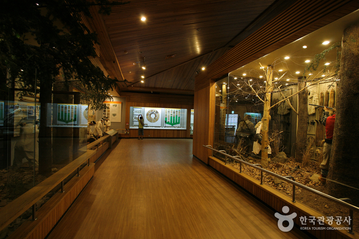 Korea National Arboretum and Forest Museum (Gwangneung Forest) (국립수목원 (광릉숲))