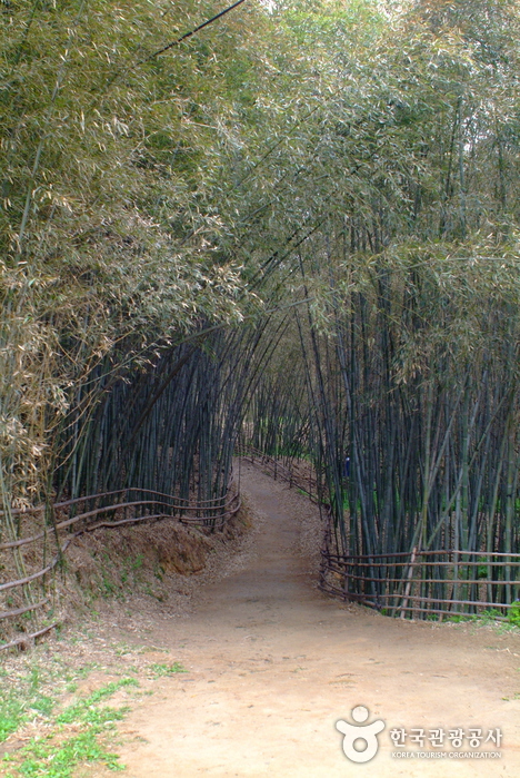 Daenamugol Bamboo Park (대나무골 테마공원)