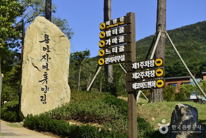 Yongin Recreational Forest (용인자연휴양림)