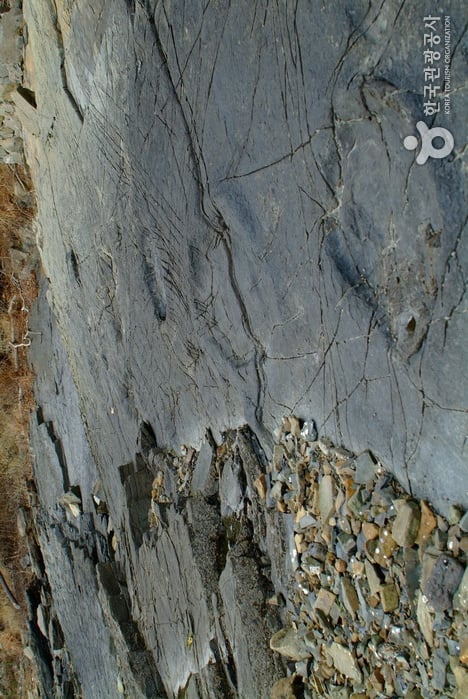 Fossilized Dinosaur Footprint Site Gain-ri, Namhae (남해 가인리 화석산지)