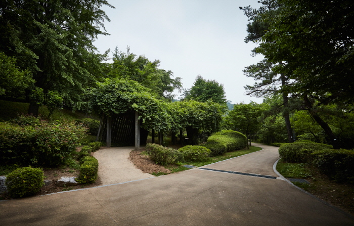 Jardín Botánico de Namsan (남산 야외식물원)14 Miniatura