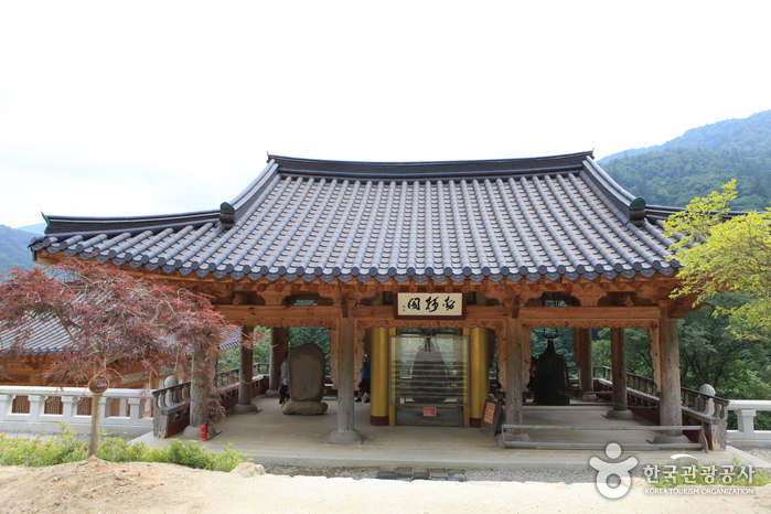 Woljeongsa Temple & Fir Tree Forest (월정사·월정사 전나무숲 )