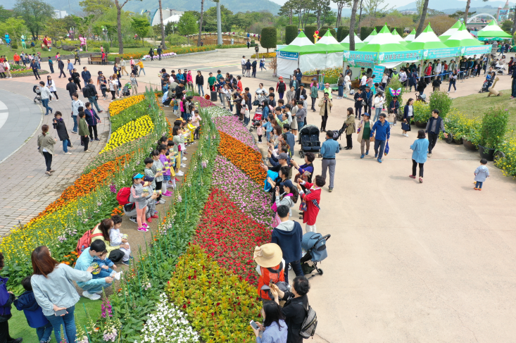 Hampyeong Butterfly Festival (함평 나비대축제) 