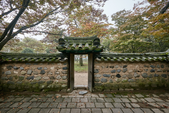 Forêt de Gyerim à Gyeongju (경주 계림)