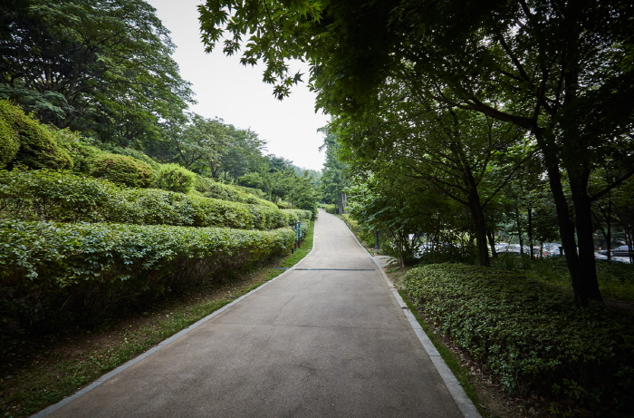 Jardín Botánico de Namsan (남산 야외식물원)12 Miniatura