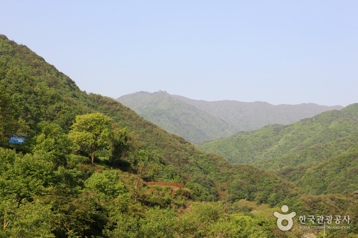 Jirisan National Park (Hadong Section) (지리산국립공원(하동))