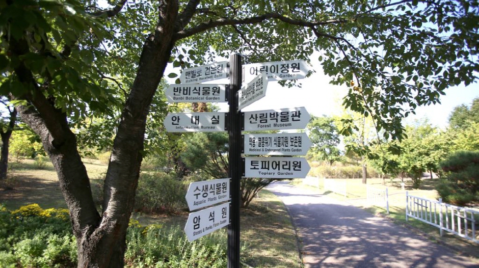 Arboretum de la province Gangwondo (강원도립...