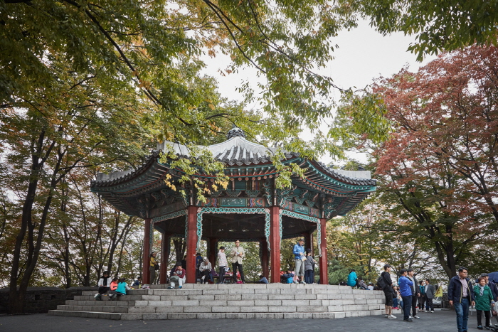 Jardín Botánico de Namsan (남산 야외식물원)10 Miniatura