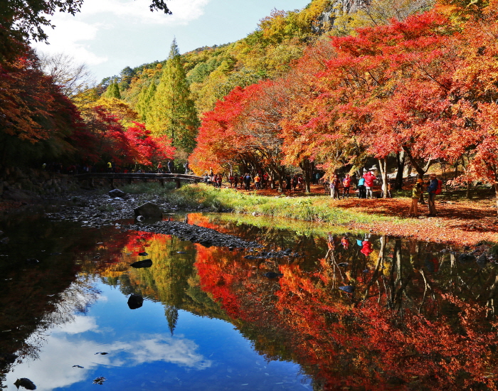Gangcheonsan County Park (강천산 군립공원)