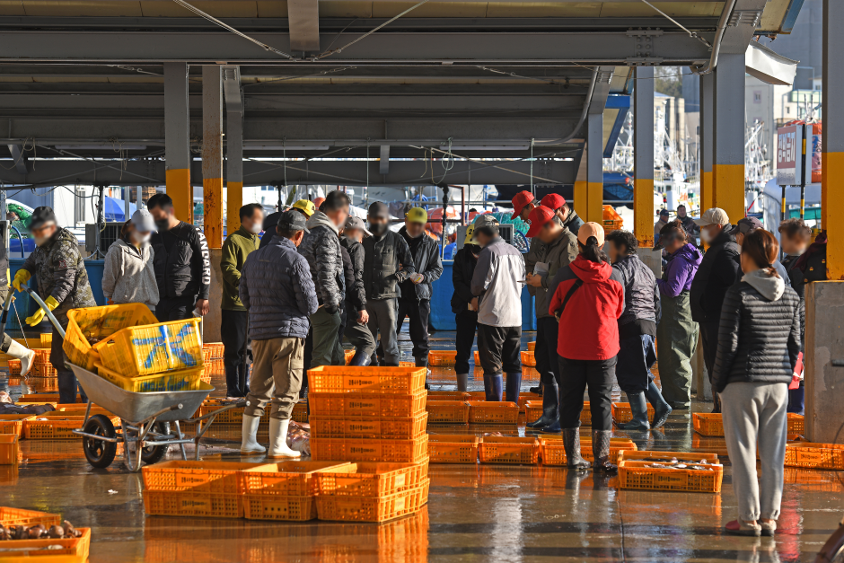 Jumunjin Port (주문진항)