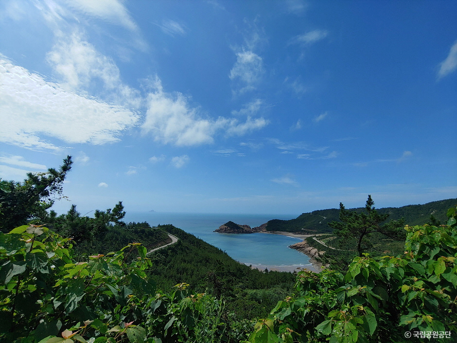 Dadohaehaesang National Park (Wando Section) (다도해해상국립공원(완도))