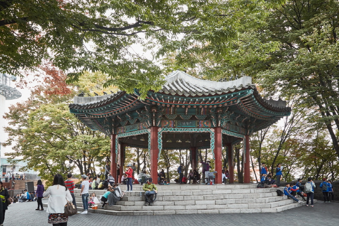 Jardín Botánico de Namsan (남산 야외식물원)9