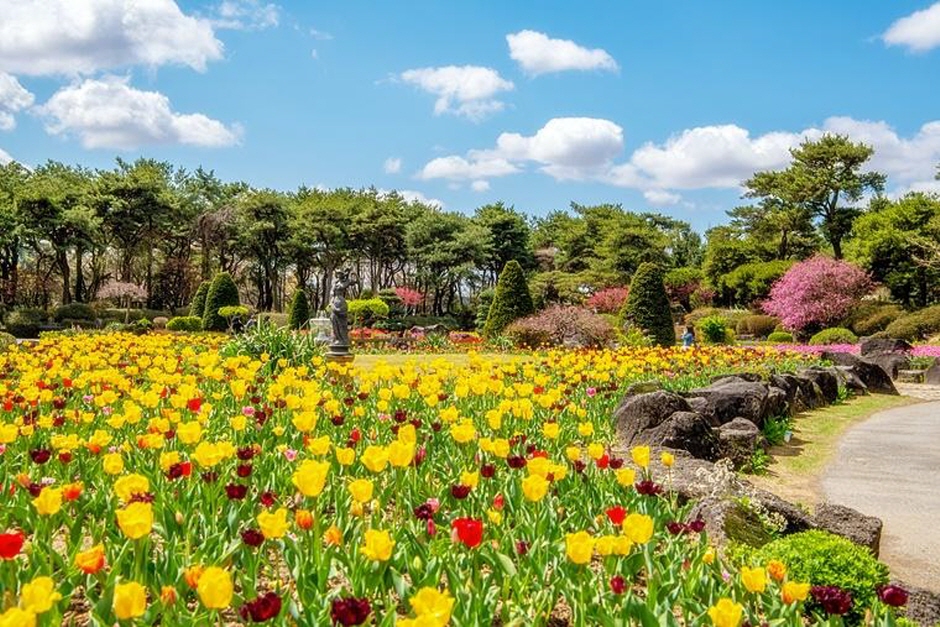 Byeokchoji Gardens (벽초지수목원)  2713098_image2_1