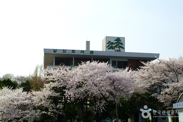 Biblioteca Namsan (서울특별시교육청 남산도서관)