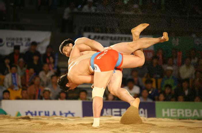 韓式摔跤