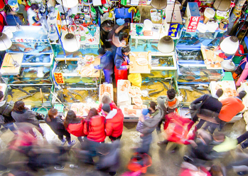Noryangjin  Fisheries Wholesale Market