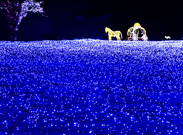 A must-see landmark of Seoul, N Seoul Tower on Namsan Mountain