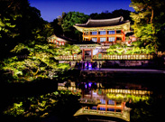 Moonlight Tour at  Changdeokgung Palace