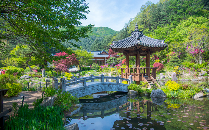 Inspirational Beauty of Gyeonggi-do 